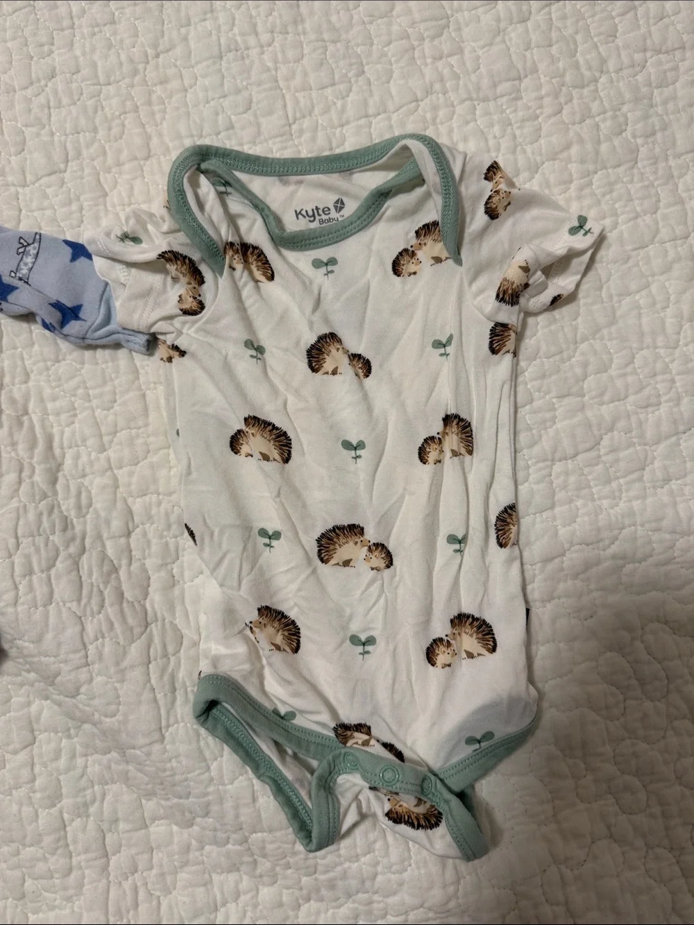 Mixed brands One-Piece Bodysuit